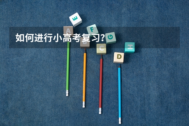 如何进行小高考复习？