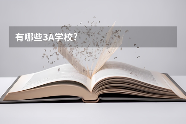 有哪些3A学校?