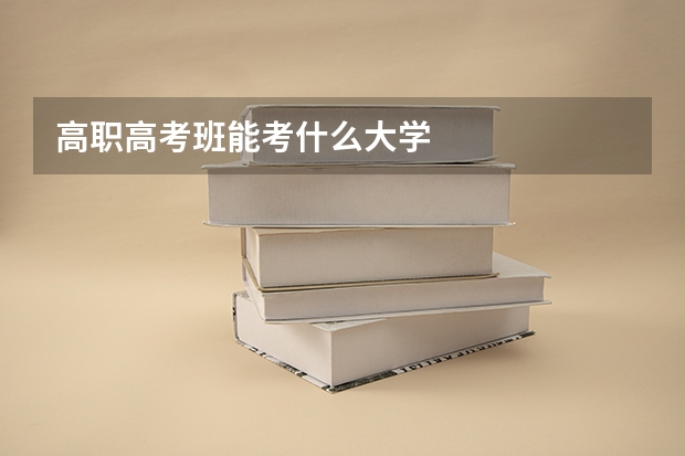 高职高考班能考什么大学