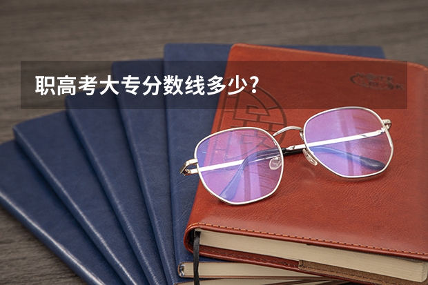 职高考大专分数线多少?