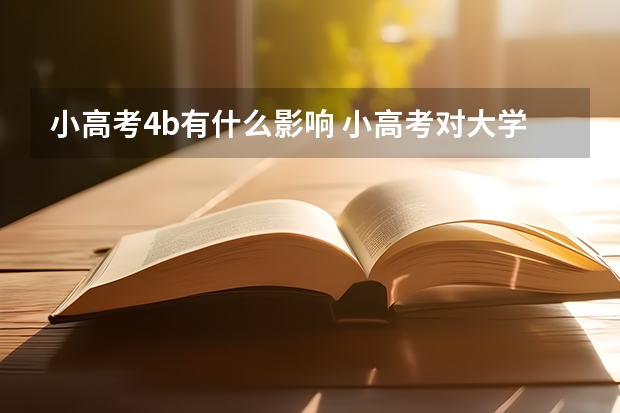 小高考4b有什么影响 小高考对大学录取的影响