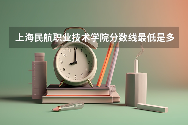 上海民航职业技术学院分数线最低是多少