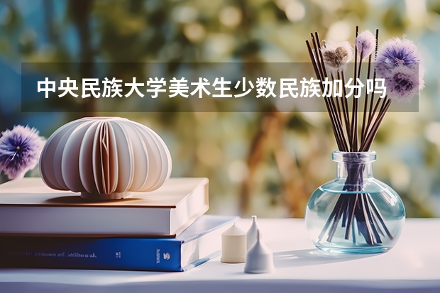 中央民族大学美术生少数民族加分吗
