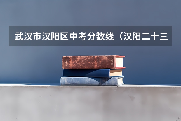 武汉市汉阳区中考分数线（汉阳二十三高中录取分数线）