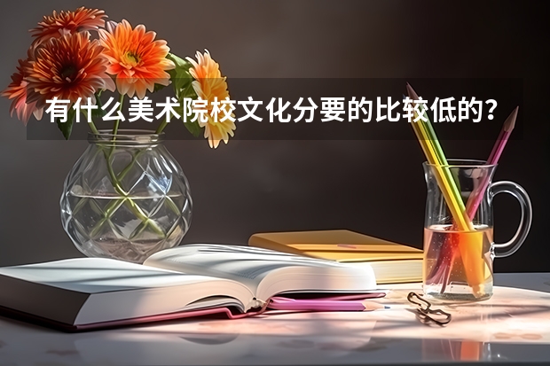 有什么美术院校文化分要的比较低的？（一类）