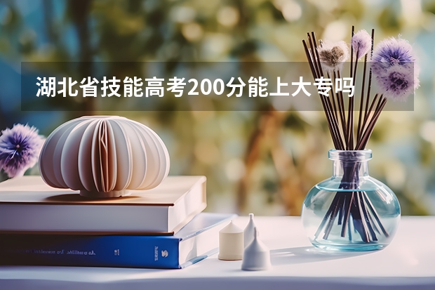 湖北省技能高考200分能上大专吗