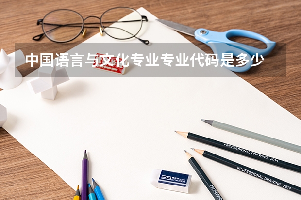 中国语言与文化专业专业代码是多少