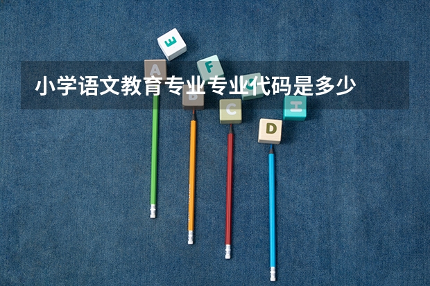 小学语文教育专业专业代码是多少