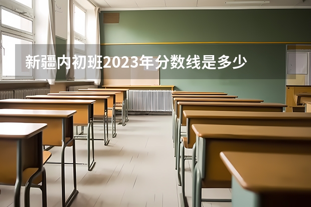 新疆内初班2023年分数线是多少