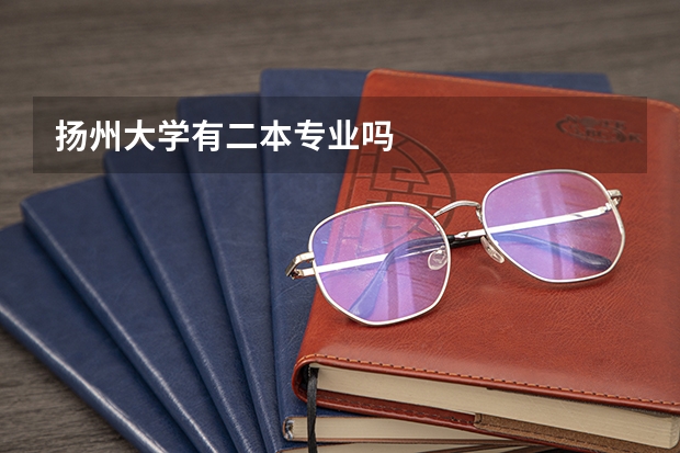 扬州大学有二本专业吗