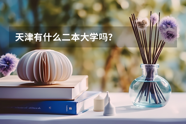 天津有什么二本大学吗？