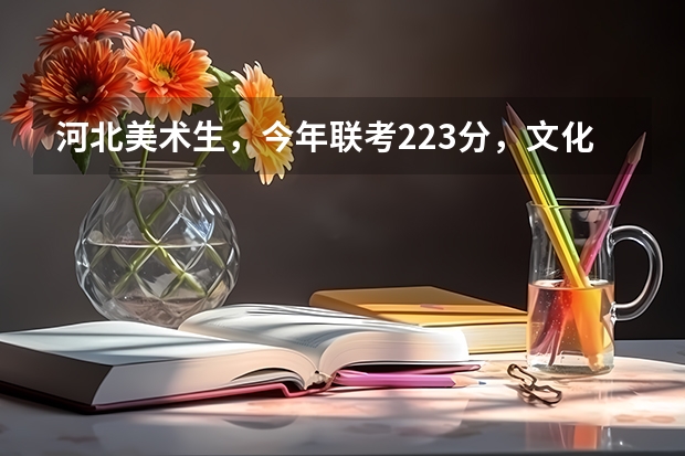 河北美术生，今年联考223分，文化400左右吧，你给建议一下上什么学校比较好？