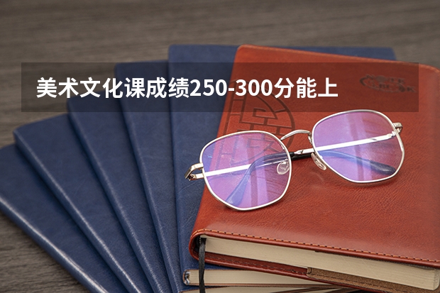 美术文化课成绩250-300分能上什么大学?