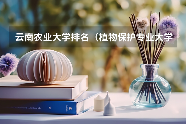 云南农业大学排名（植物保护专业大学排名）