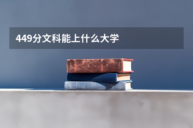 449分文科能上什么大学