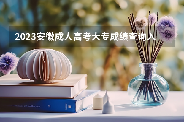 2023安徽成人高考大专成绩查询入口在哪里 查询方法是什么？