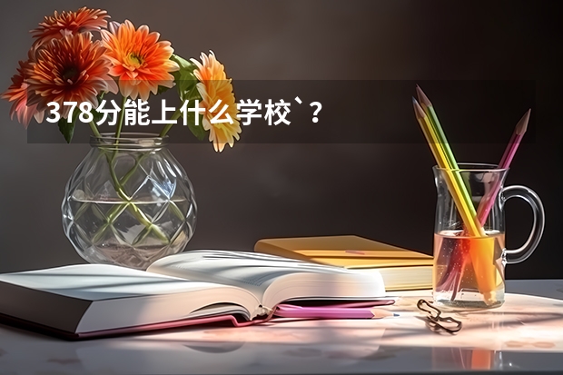 378分能上什么学校`？