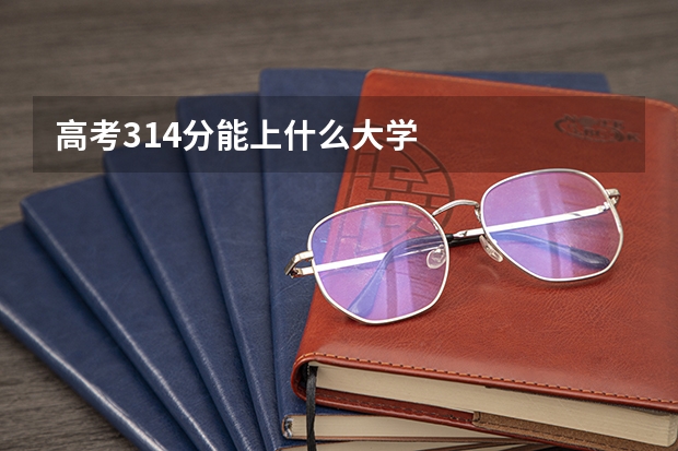 高考314分能上什么大学