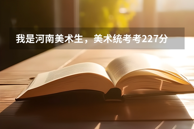 我是河南美术生，美术统考考227分，文化课考380分左右，能上郑州的什么大学啊？