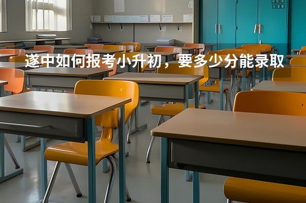 遂中如何报考小升初，要多少分能录取