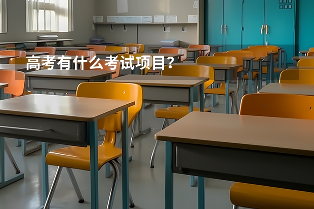 高考有什么考试项目？