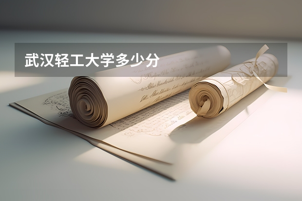 武汉轻工大学多少分