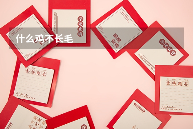 什么鸡不长毛