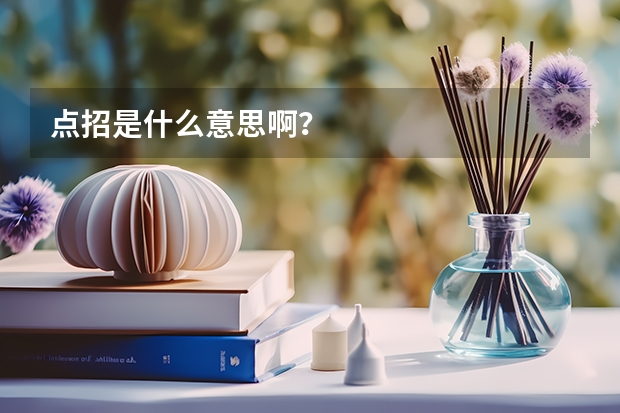 点招是什么意思啊？
