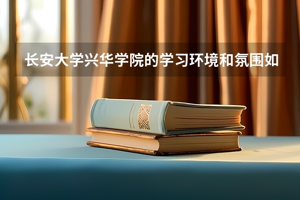 长安大学兴华学院的学习环境和氛围如何？