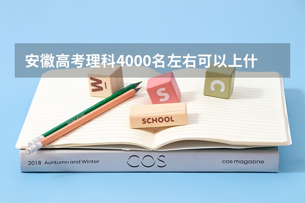安徽高考理科4000名左右可以上什么大学
