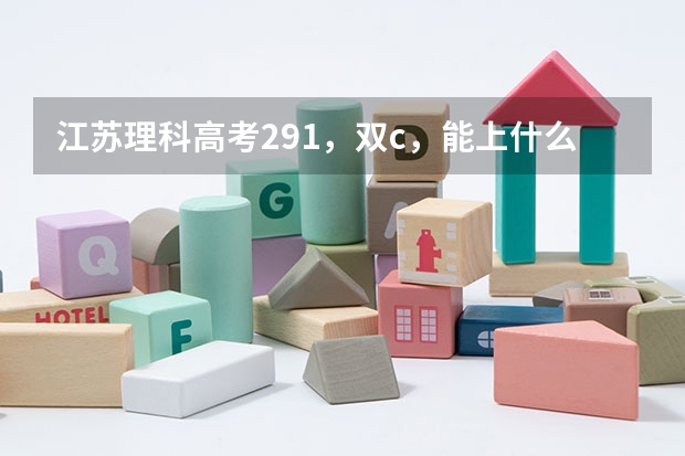 江苏理科高考291，双c，能上什么大学