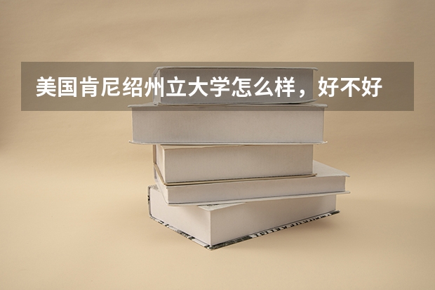 美国肯尼绍州立大学怎么样，好不好
