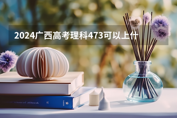 2024广西高考理科473可以上什么大学预测