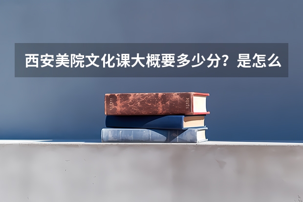 西安美院文化课大概要多少分？是怎么录取的？