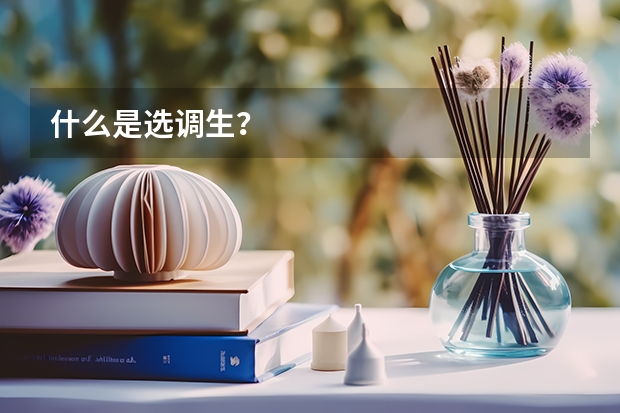 什么是选调生？