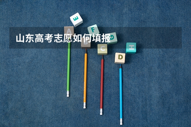 山东高考志愿如何填报