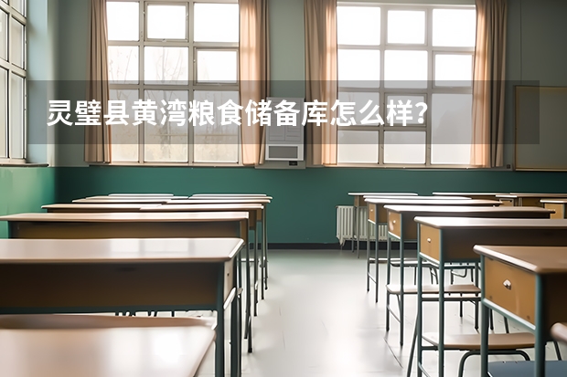 灵璧县黄湾粮食储备库怎么样？