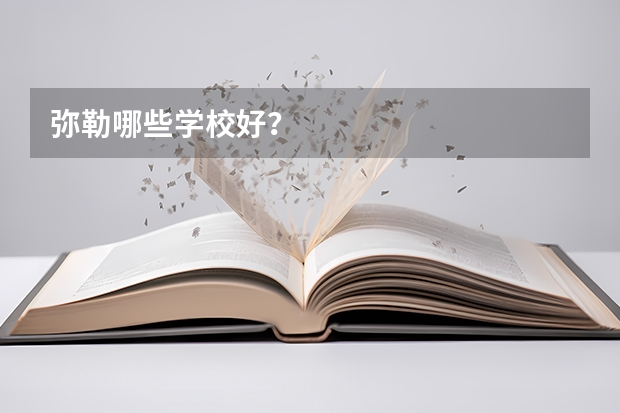 弥勒哪些学校好？