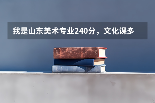 我是山东美术专业240分，文化课多少分才能上一本大学