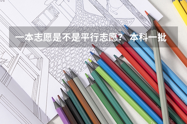 一本志愿是不是平行志愿？ 本科一批有几个平行志愿