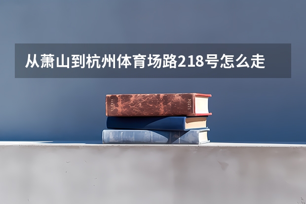 从萧山到杭州体育场路218号怎么走