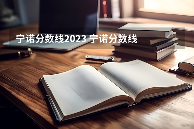 宁诺分数线2023 宁诺分数线