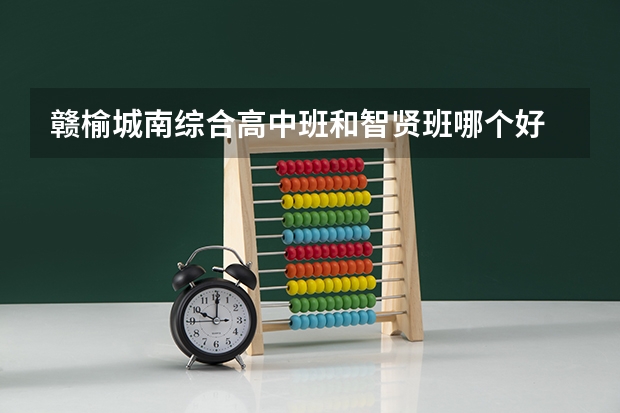 赣榆城南综合高中班和智贤班哪个好