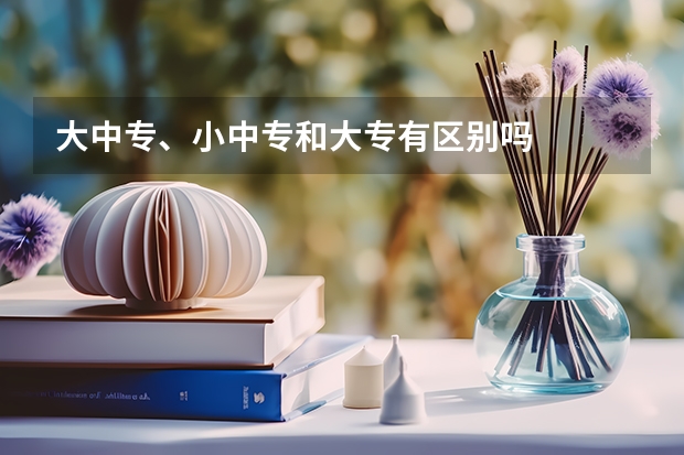 大中专、小中专和大专有区别吗
