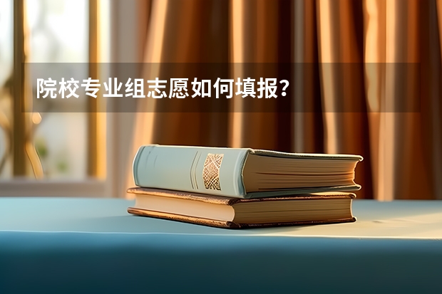 院校专业组志愿如何填报？