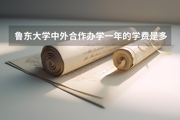 鲁东大学中外合作办学一年的学费是多少？
