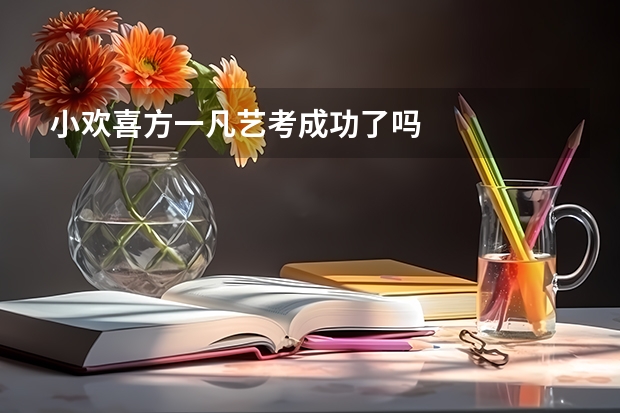 小欢喜方一凡艺考成功了吗