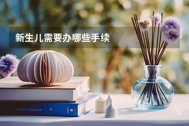 新生儿需要办哪些手续
