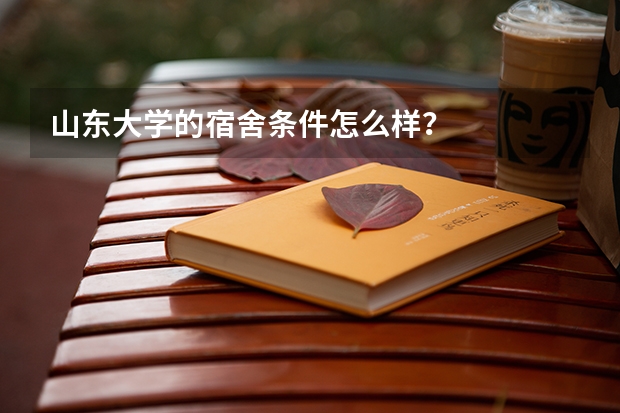 山东大学的宿舍条件怎么样?