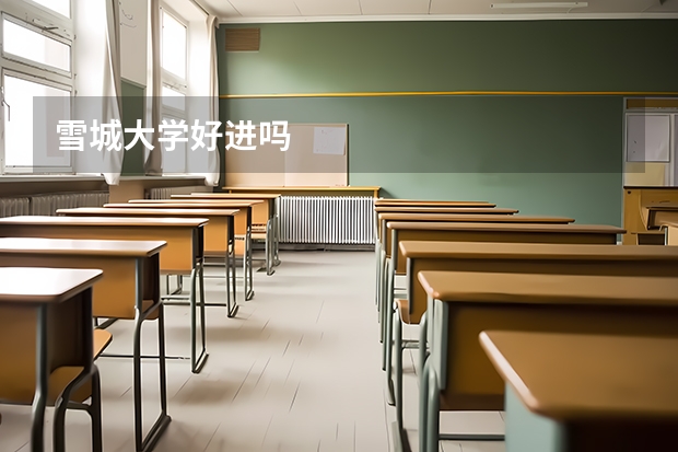 雪城大学好进吗